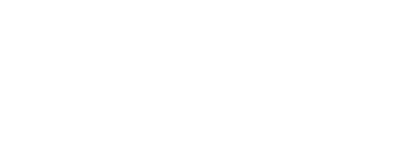 Dubai Police logo